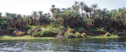 Margem esquerda do Nilo.jpg