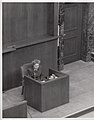 Maria Karstetter on the witness stand during the Doctors' Trial.jpg