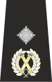 Metropolitan Police Deputy Assistant Commissioner of the Metropolis epaulette