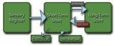 The Atkinson-Shiffrin Model of Memory showing that human memory is divided into 3 separate components - sensory register (incoming sensory information), short-term store or working memory, and long-term store. Declarative memory, under the long-term store, is subdivided into semantic and episodic memory. Modal model of memory.tif