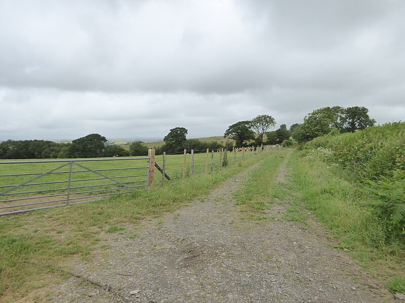 File:Modern farm track near Trittencott Cross - geograph.org.uk - 5816518.jpg