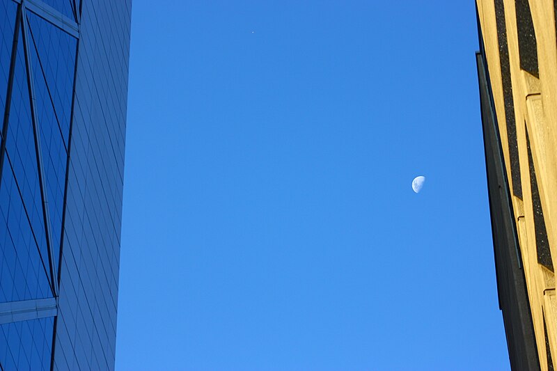 File:Moon trap between buildings (14850966709).jpg