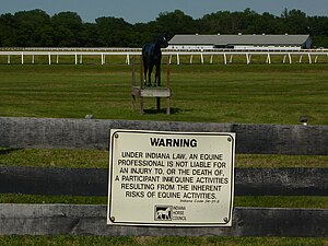 Morgan County - Mann road - horse mannequin - P1080692.jpg