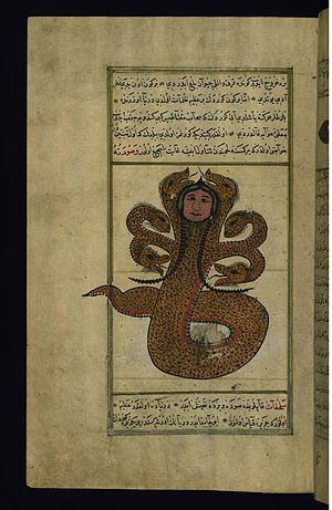 Muhammad ibn Muhammad Shakir Ruzmah-'i Nathani - A Dragon - Walters W659175A - Full Page.jpg