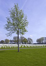 Vignette pour Cimetière américain de Margraten