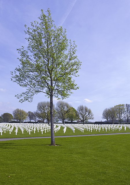 NET Margraten American Cemetery 02