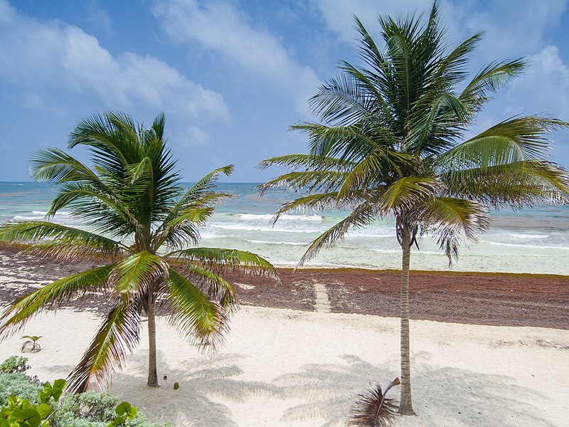 File:Nationalparc Sian Ka´an Tulum (21397245771).jpg