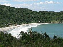 Spiaggia dei naufraghi