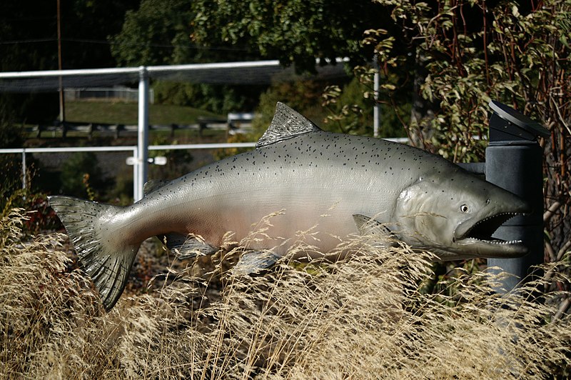File:Near Underwood, WA, Chinook Salmon Sculpture, Spring Creek National Fish Hatchery, 2008 - panoramio.jpg