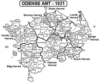 <span class="mw-page-title-main">Odense County</span>