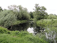 Toter Okerarm am Schiffhorn, der im Bild rechts liegende Einschluss mit der Oker wird auch „Insel“ genannt.