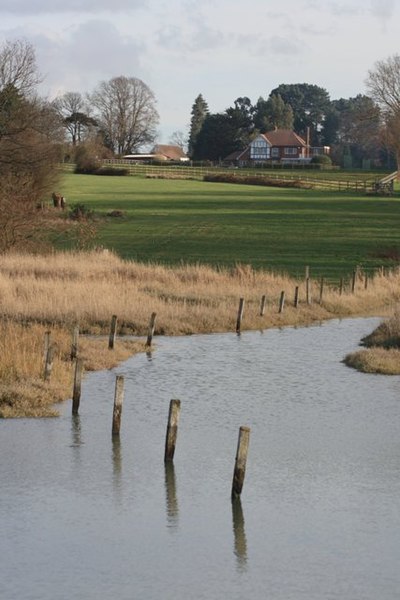 File:Old Fence Line, Bunny Meadows - geograph.org.uk - 657936.jpg