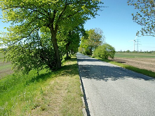 Oortkatenweg in Richtung Ochsenwerder Landscheideweg