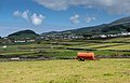 Image 365Orange water tank on agricultural field, Cinco Ribeiras, Terceira Island, Azores, Portugal