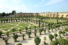 Versailles Orangerie at the Palace of Versailles, France. Orangerie du chateau de Versailles le 11 septembre 2015 - 90.jpg