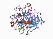 PDB 1a2c EBI.jpg