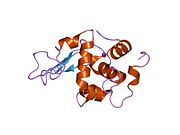 PDB 1ip6 EBI.jpg