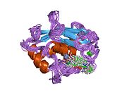 PDB 1ums EBI.jpg