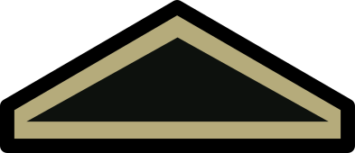 File:PHIL ARMY PVT WOODLAND.svg