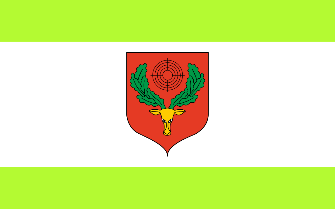 File:POL Pionki flag.svg