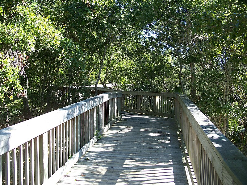 File:Panama City FL dune walkover03.jpg