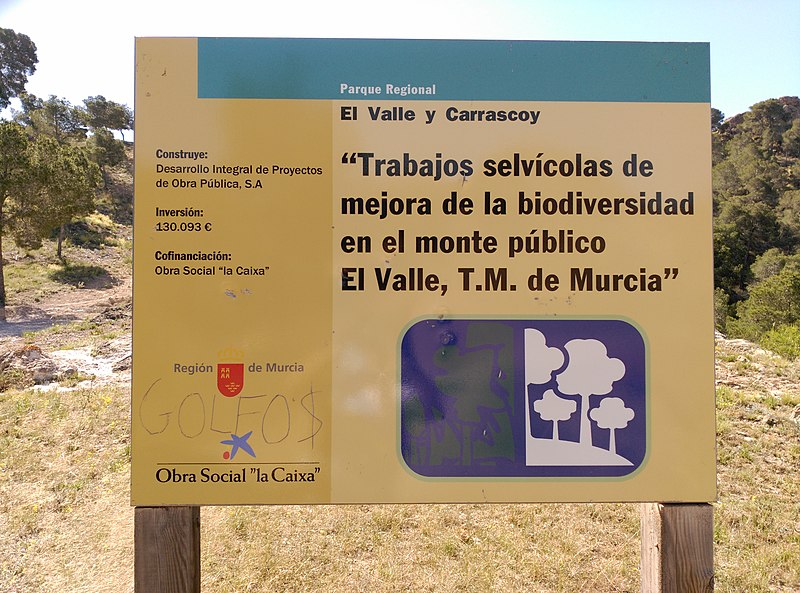 File:Panel informativo. Trabajos selvícolas de mejora de la biodiversidad en el monte público El Valle..jpg