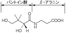 パントテン酸 Wikipedia