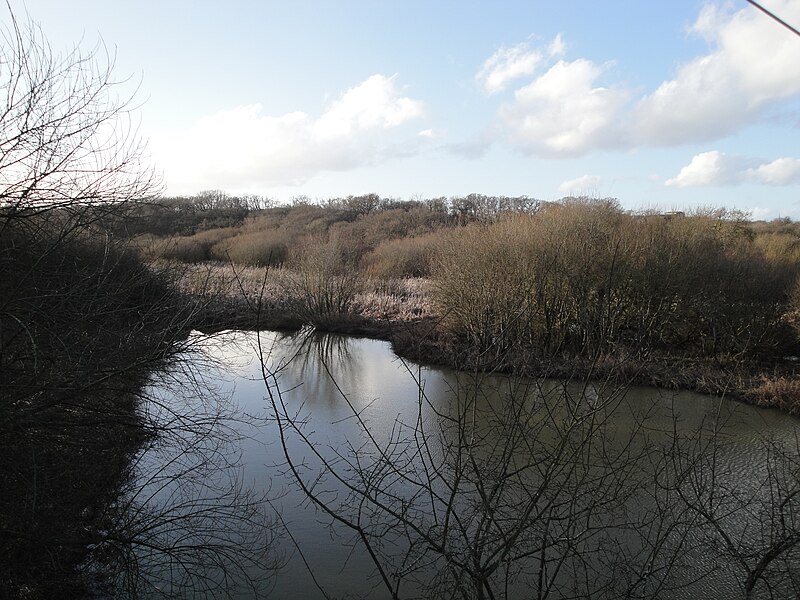 File:Parkhurst streams from Cowes cycle path 2.JPG