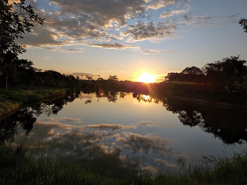 File:Parque Municipal (Lago).jpg