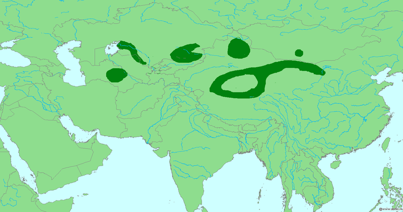 File:Passer ammodendri range.png