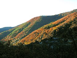 Pastra village, Bulgaria.JPG