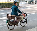 * Nomination Cyclist with loaded bicycle in Beijing --Ermell 09:41, 4 February 2022 (UTC) * Promotion Good quality. --Imehling 17:45, 7 February 2022 (UTC)
