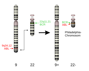 Kromosom Filadelfija