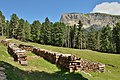 * Nomination Woodpiles on the Plan dla Tambres meadows and the Secëda peak in Gröden --Moroder 13:55, 15 August 2016 (UTC) * Promotion Good quality. --Berthold Werner 14:14, 15 August 2016 (UTC)