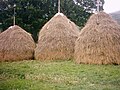 Category: Haystacks