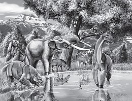 A Palaeolama leghátul, középen, a lámaalakú állat