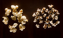 Popcorn (left) and popped sorghum (right) Popcorn and pop sorghum.jpg