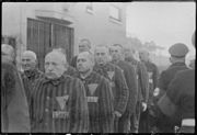 More Sachsenhausen detainees