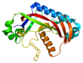 Thumbnail for 2',3'-Cyclic-nucleotide 3'-phosphodiesterase