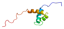 Protein DNAJC1 PDB 2cqq.png