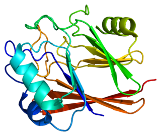 VPS29 protein-coding gene in the species Homo sapiens