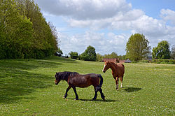 Pré vers Abbeville