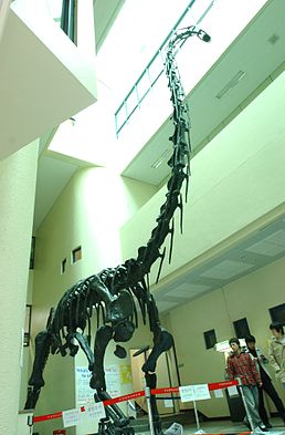 Реконструкція скелету Pukyongosaurus