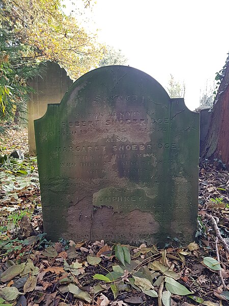 File:Putney Lower Common Cemetery 20191117 130655 (49078454548).jpg