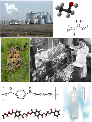 Bioquímica: Historia, Ramas de la bioquímica, Técnicas bioquímicas básicas