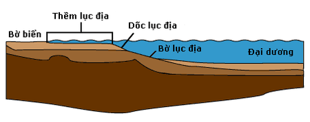 Rìa lục địa