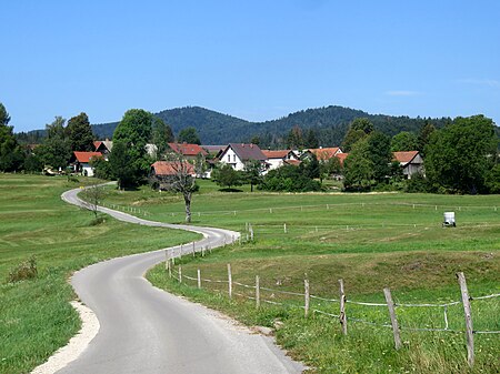 Radlek Slovenia 1