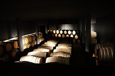 ייצור יין