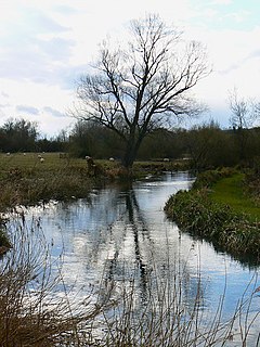 River Kennet river in the United Kingdom, a tributary of the River Thames