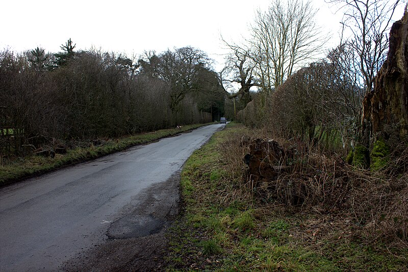 File:Road to Lodge Hill - geograph.org.uk - 5684451.jpg